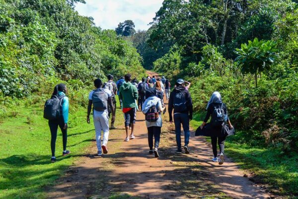 Mt.Kenya Hike